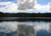 Thumbnail Lake Eacham Thumbnail Lake Eacham